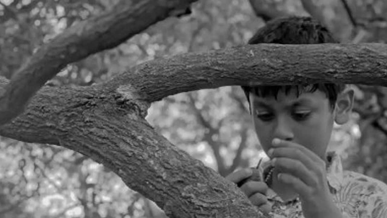 ফাইল ছবি