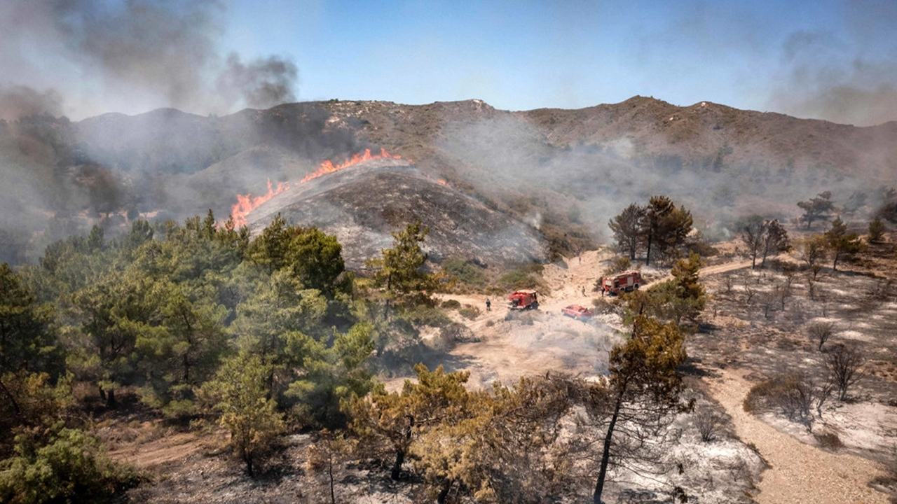 ছবি সংগৃহীত