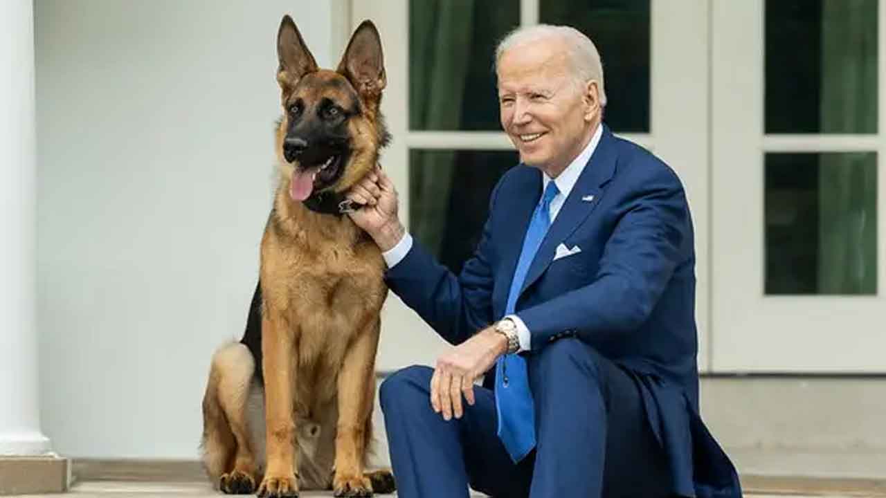 বাইডেন ও কমান্ডার