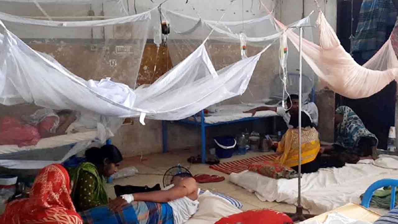 ফাইল ছবি