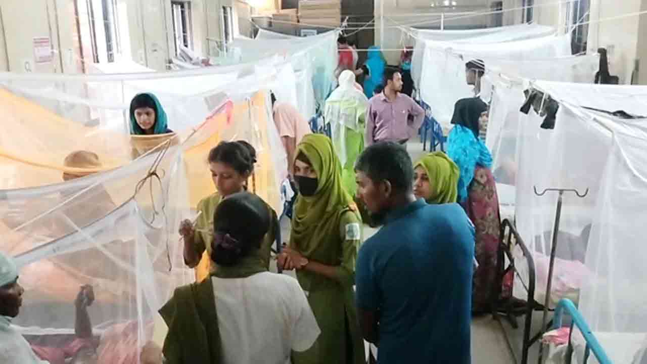 ফাইল ছবি