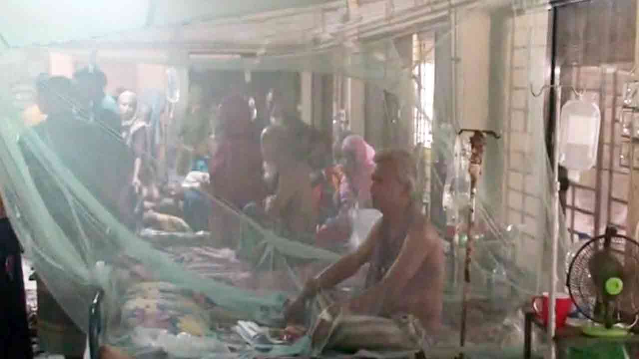 ফাইল ছবি