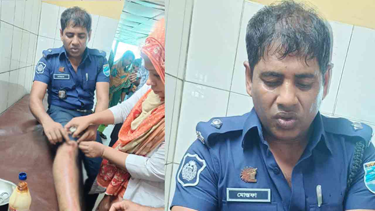 ছবি: সংগৃহীত