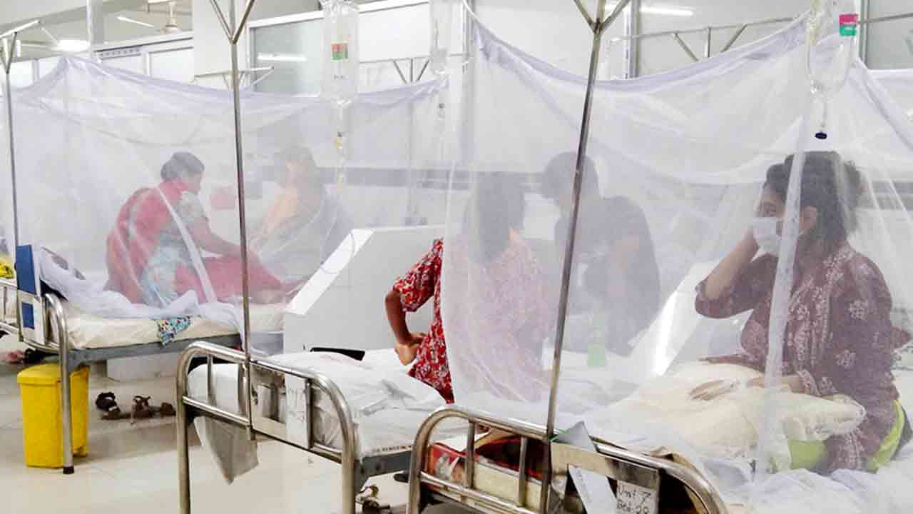 এক মাসে ডেঙ্গু রোগী বেড়েছে ৩৩ হাজার