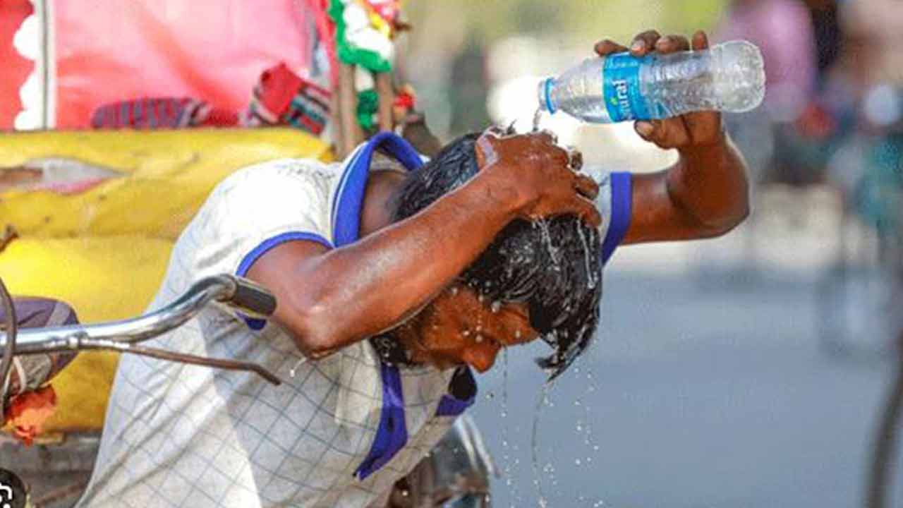 ফাইল ছবি