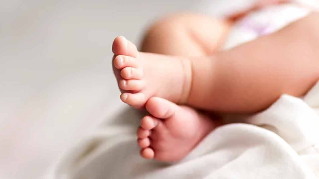 প্রতীকী ছবি