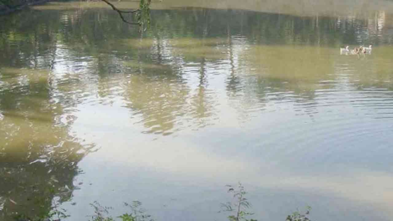 ফাইল ছবি