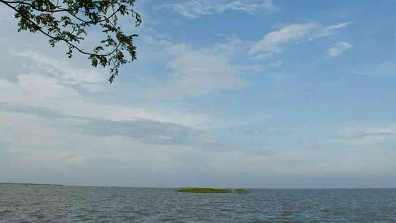 ফাইল ছবি