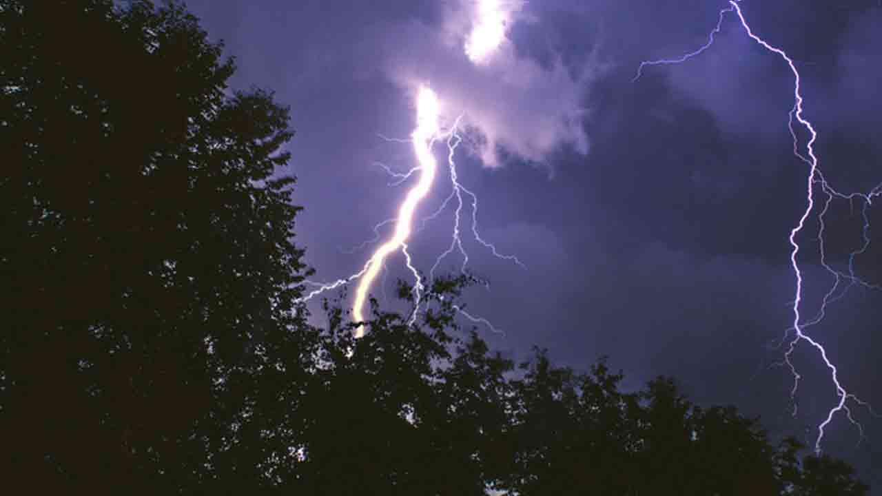 প্রতীকী ছবি