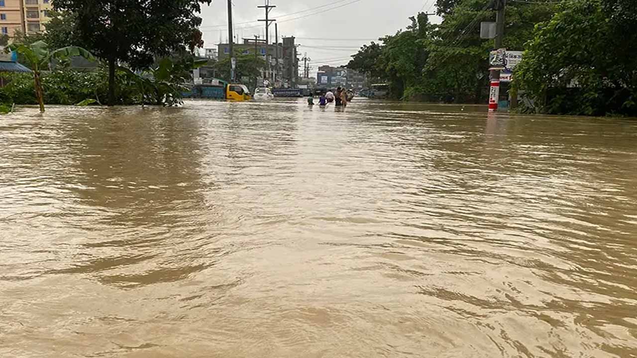 সংগৃহীত ছবি