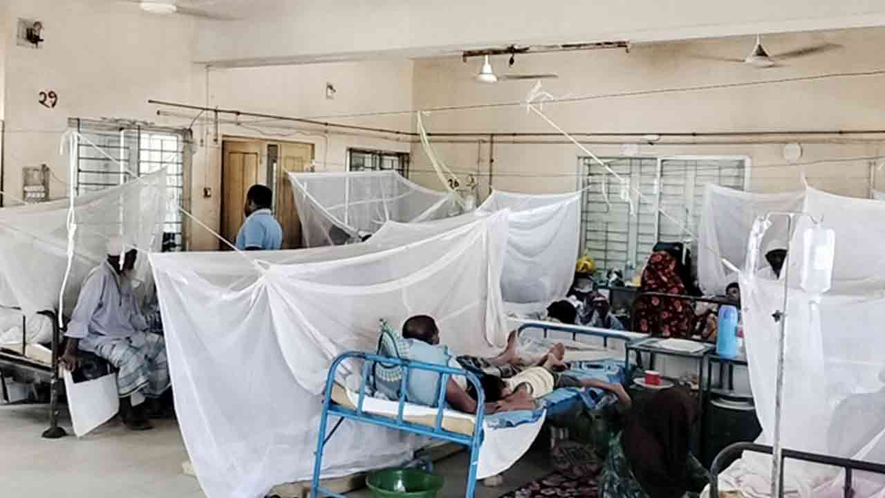 ফাইল ছবি