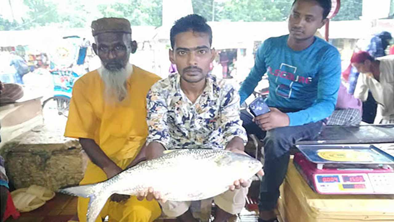 সোয়া দুই কেজি মাছটির দাম ৯ হাজার টাকা।