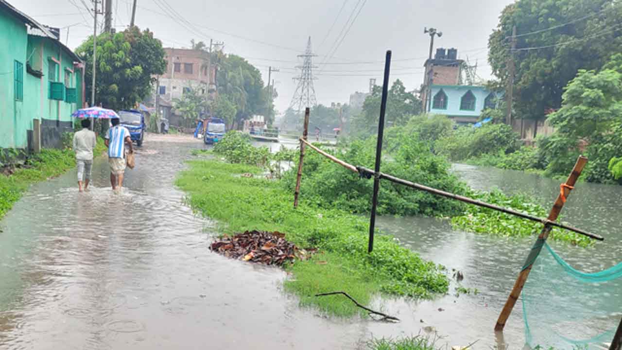 ফাইল ছবি