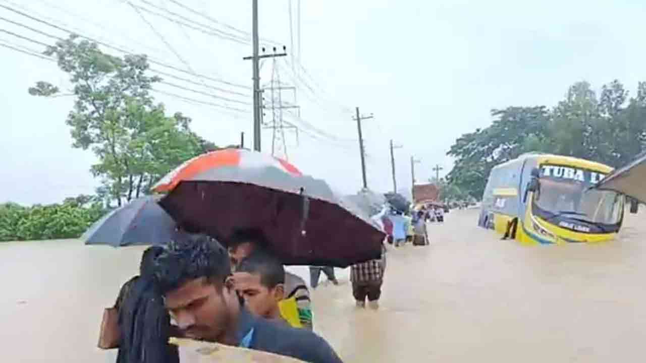 ফাইল ছবি