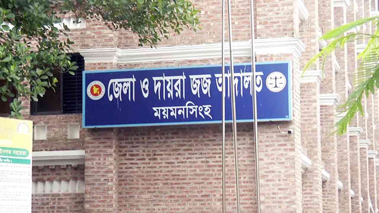 ফাইল ছবি