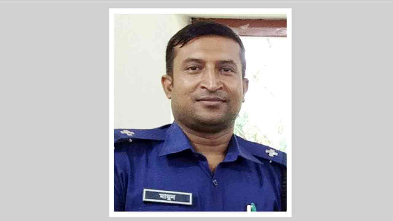 ফাইল ছবি