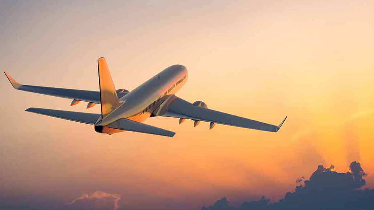 পাখির ধাক্কায় ক্ষতিগ্রস্ত ২ উড়োজাহাজ