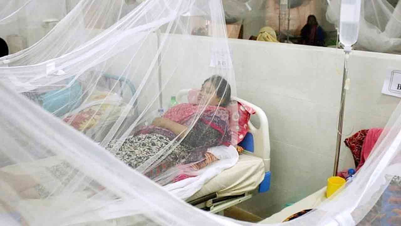 বরিশালে ২৪ ঘণ্টায় চার ডেঙ্গুরোগীর মৃত্যু
