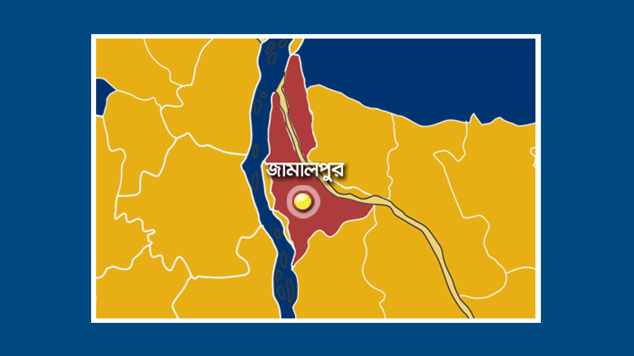 ফাইল ছবি