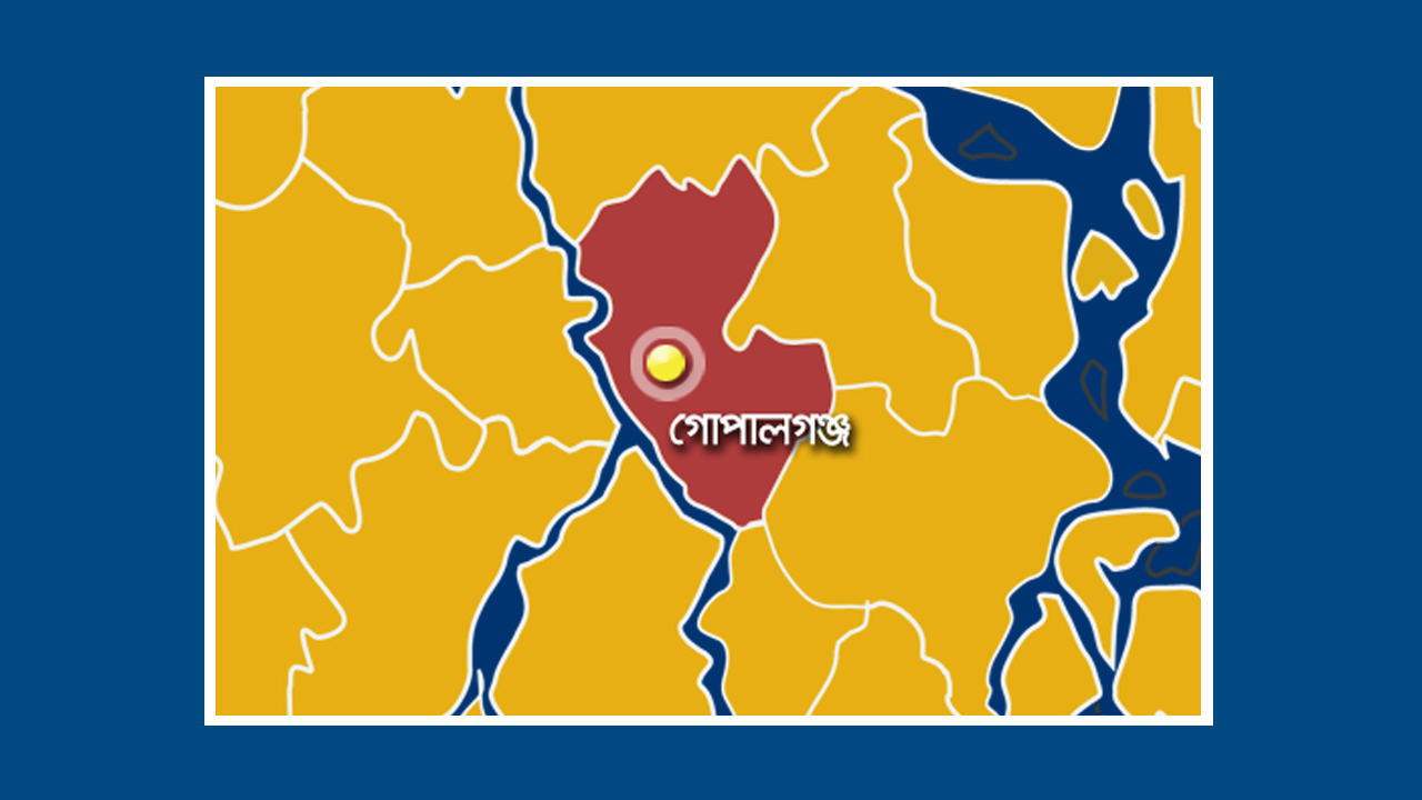 ফাইল ছবি