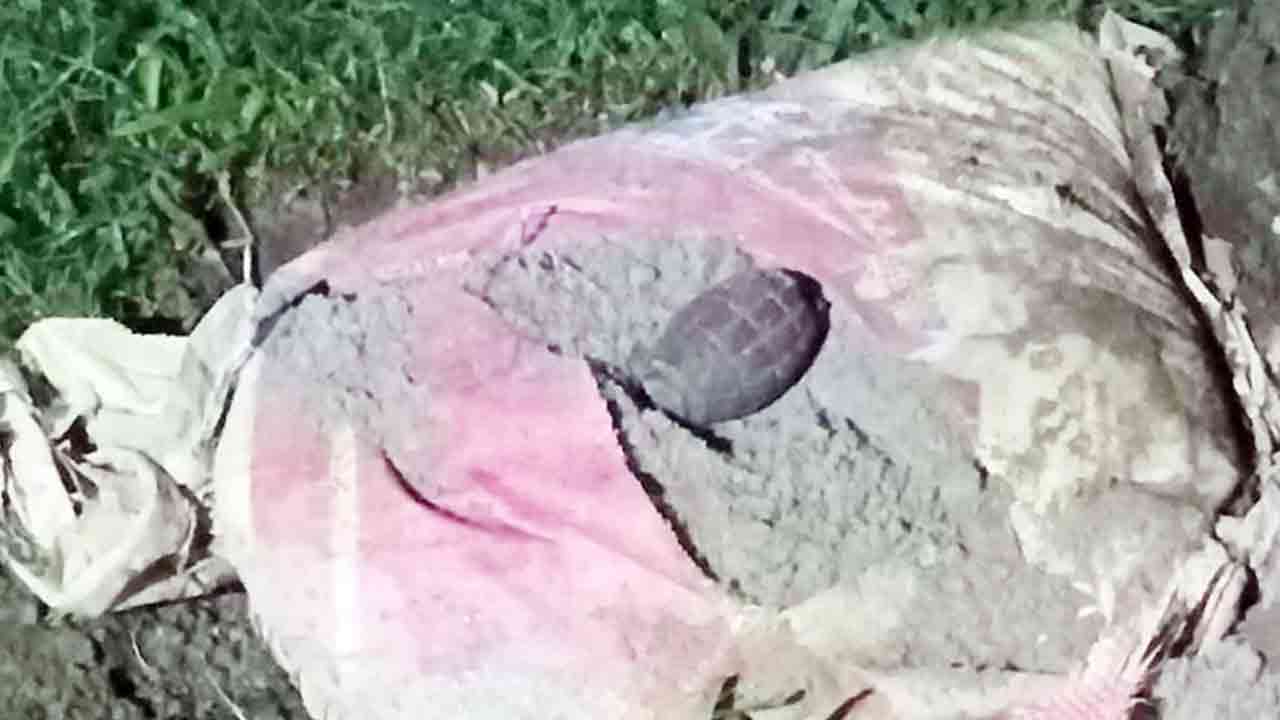 ছবি: সংগৃহীত