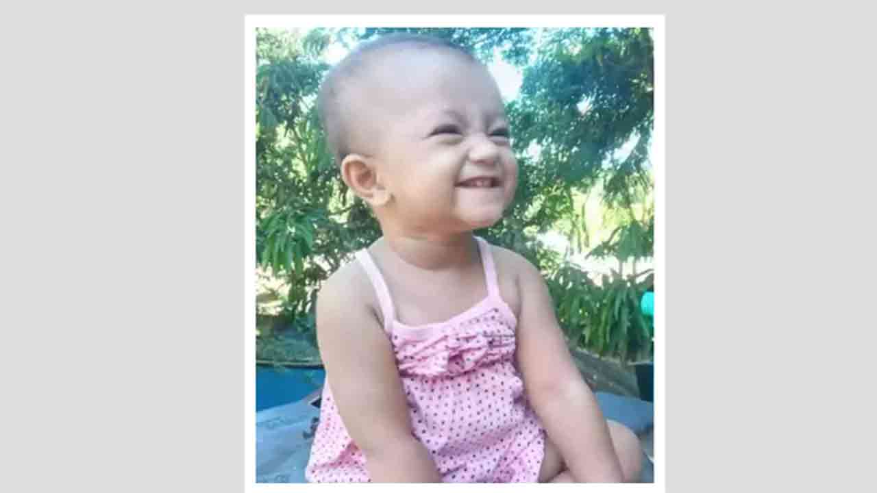 ফাইল ছবি