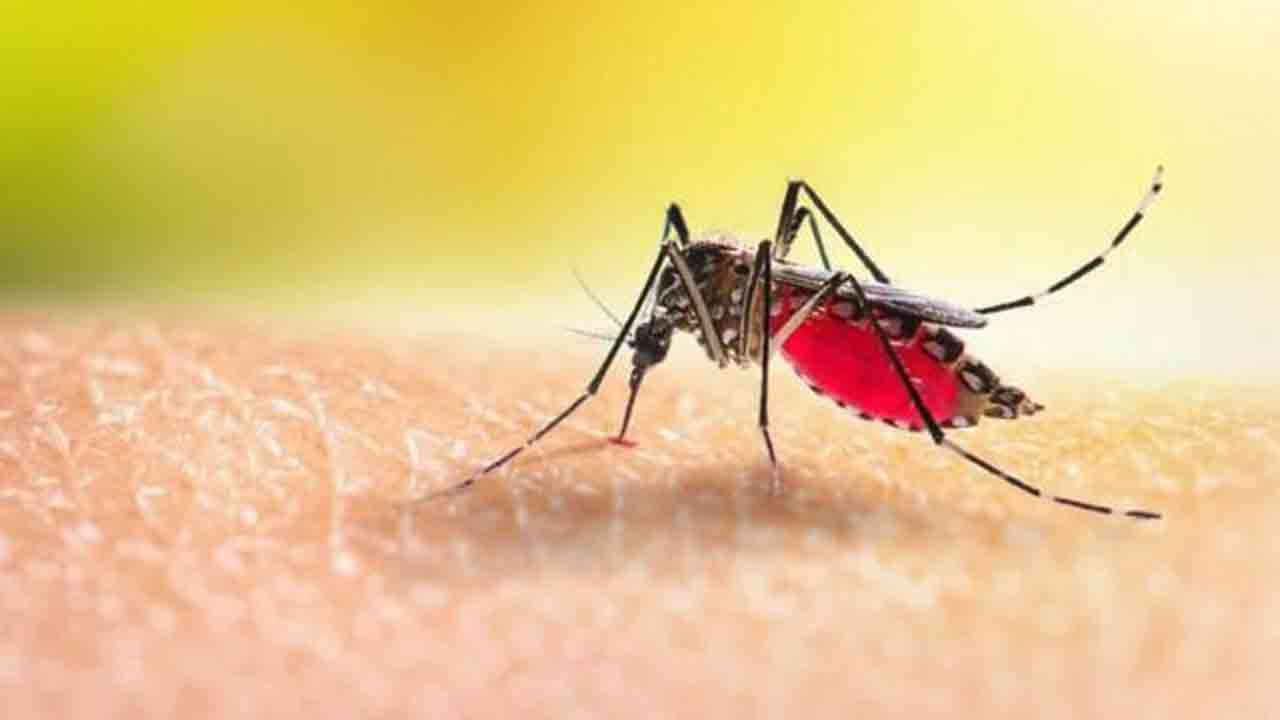 প্রতীকী ছবি