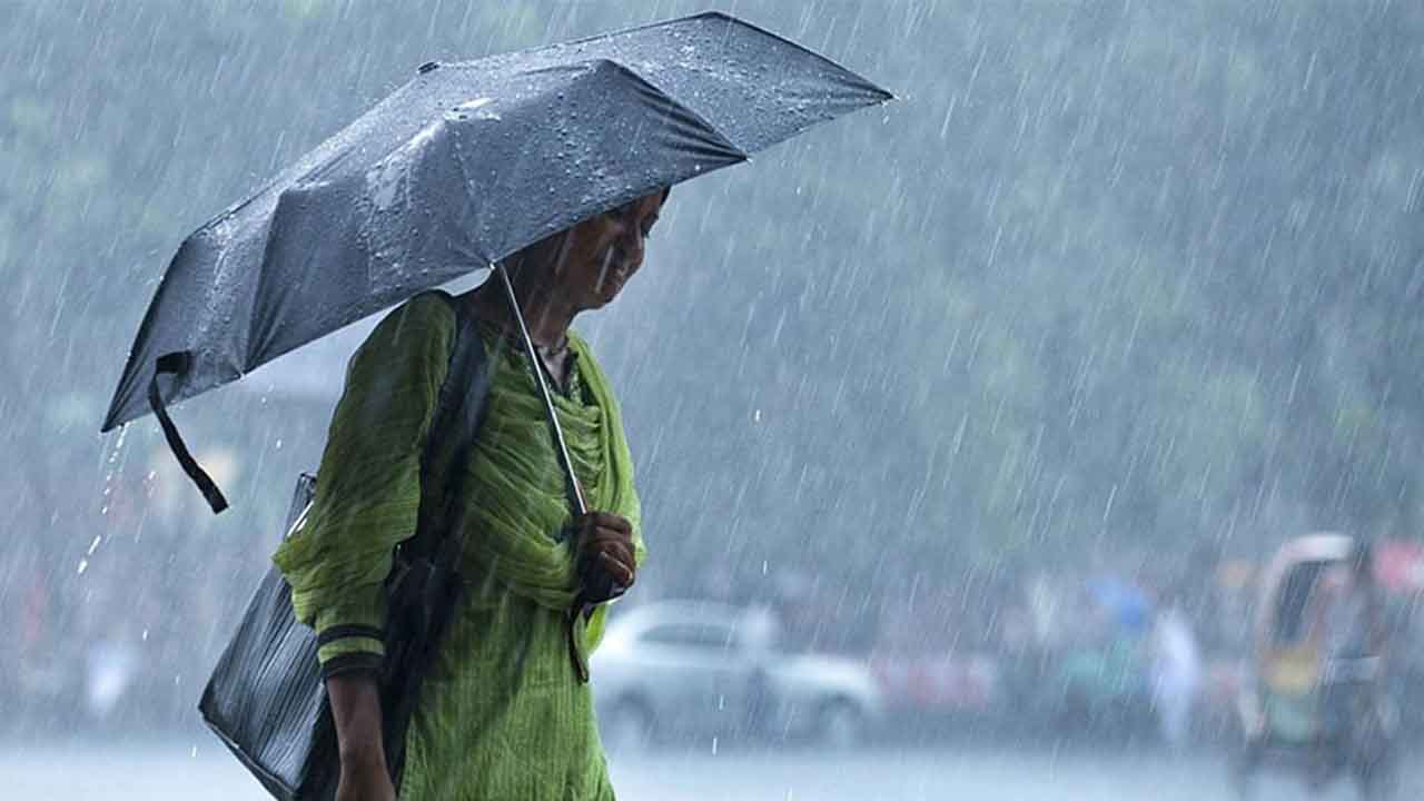 ছবি সংগৃহীত