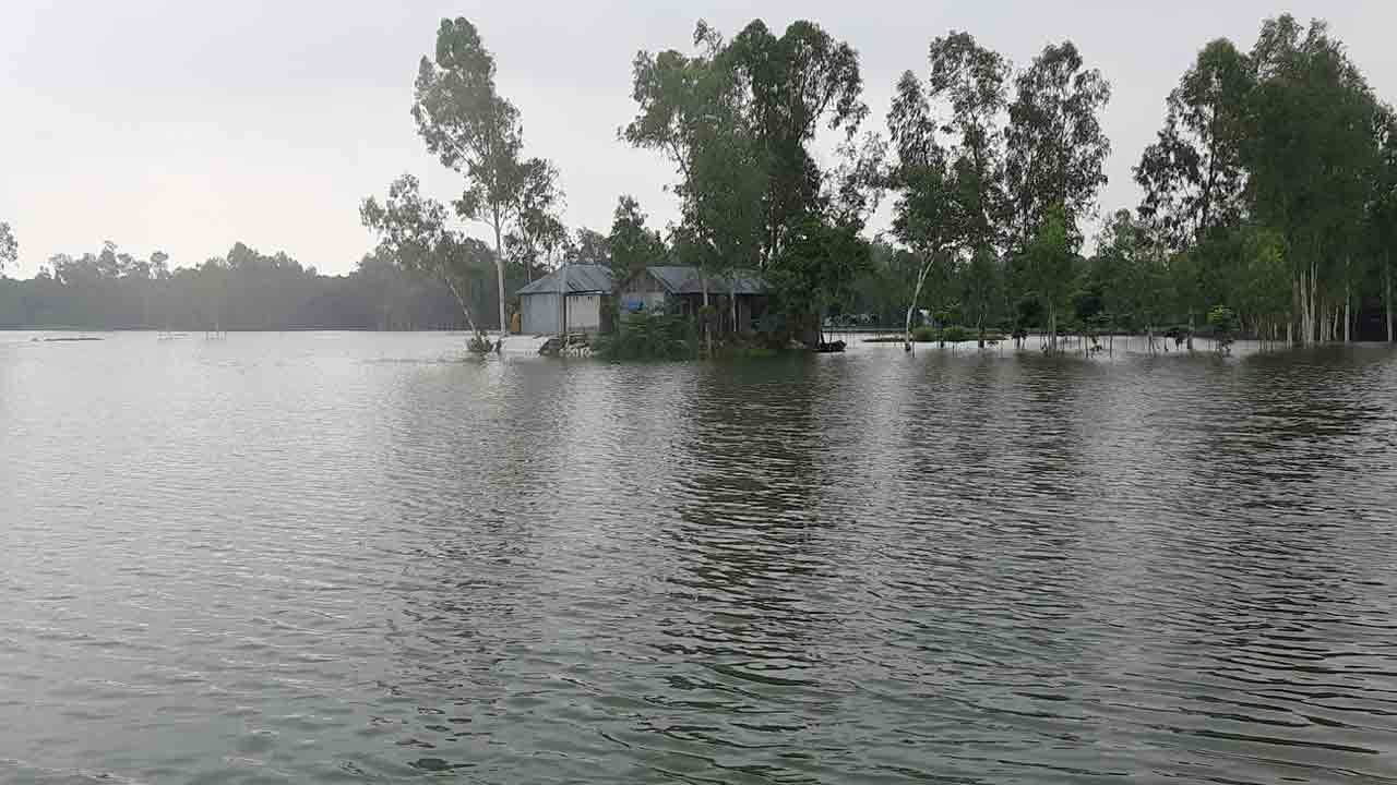 নিজস্ব ছবি