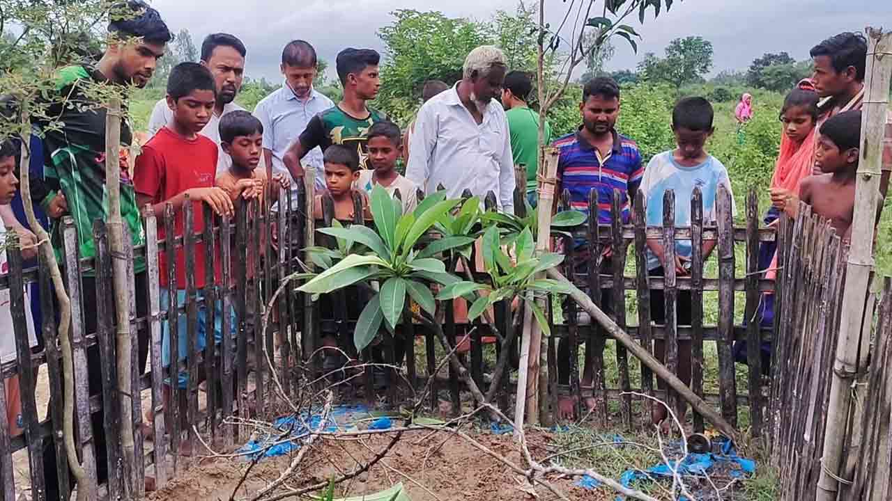 নিজস্ব ছবি