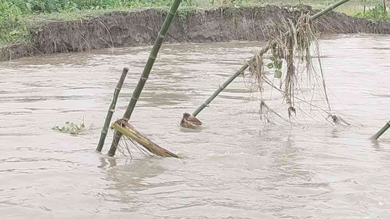 ফাইল ছবি