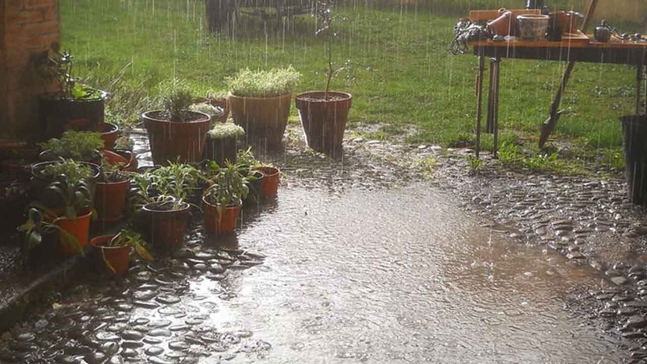 ছবি সংগৃহীত