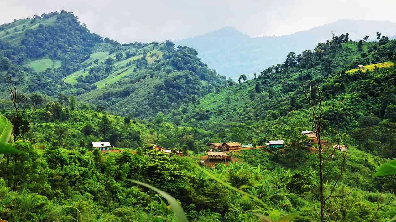 ফাইল ছবি