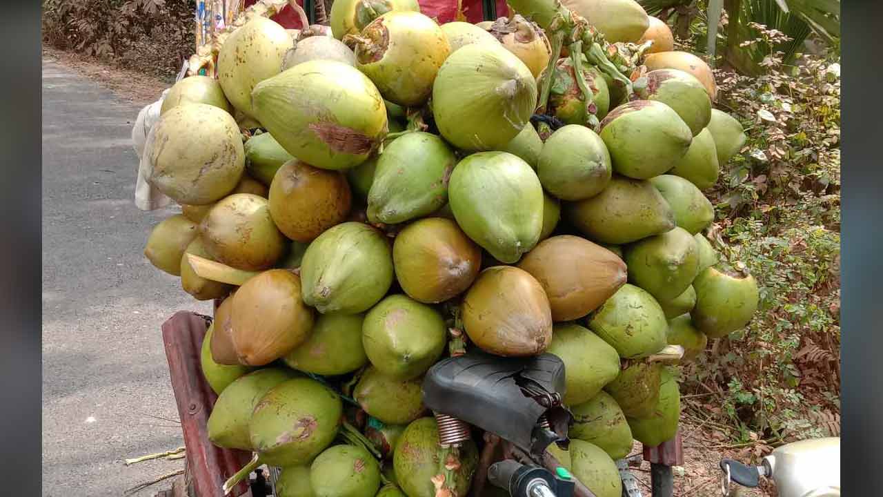 ছবি: দেশ টিভি