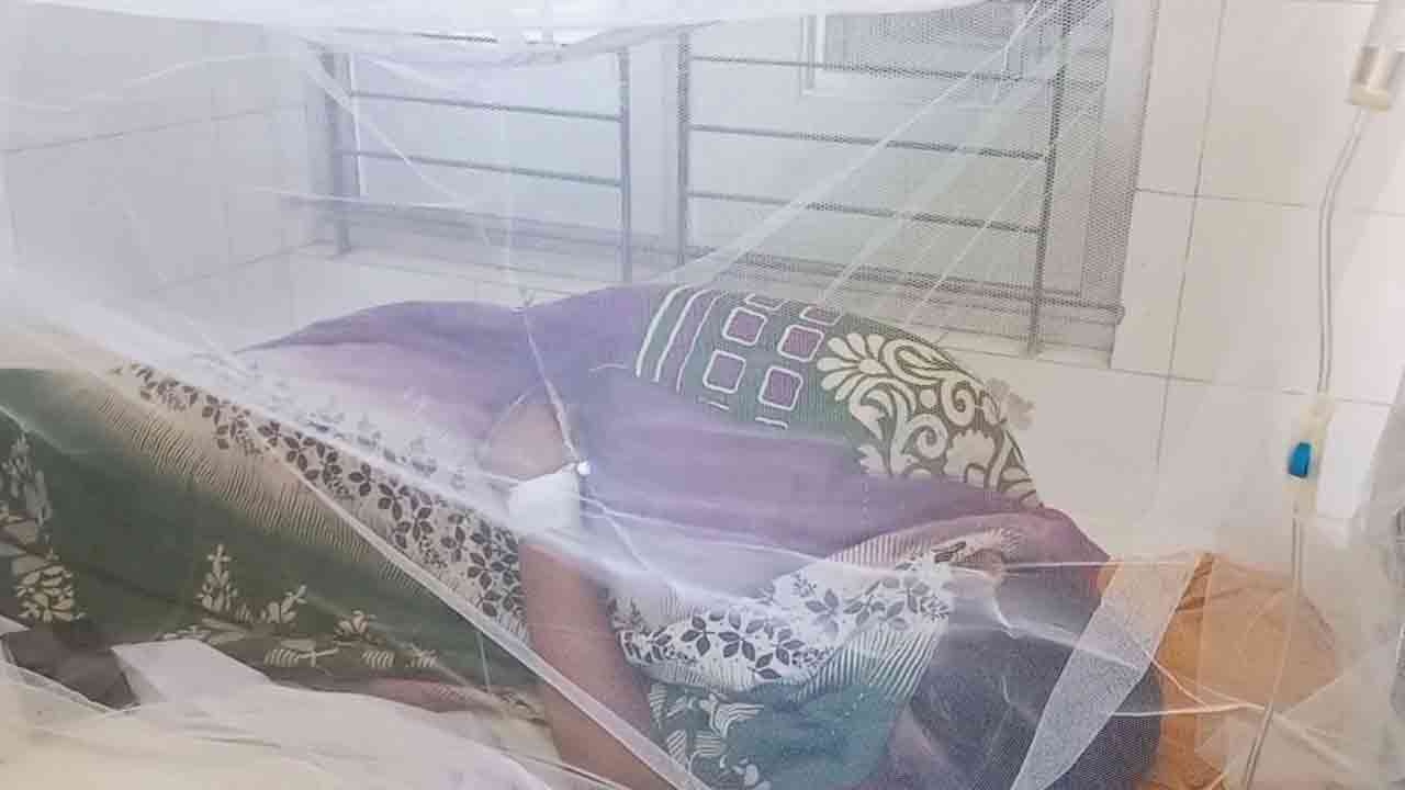 ফাইল ছবি