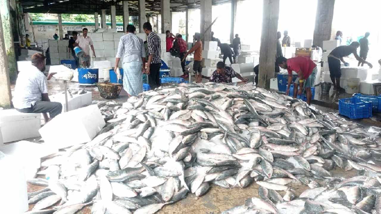 সংগৃহীত ছবি