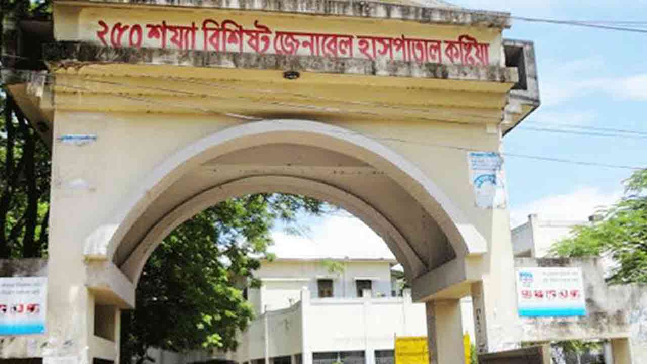 ফাইল ছবি