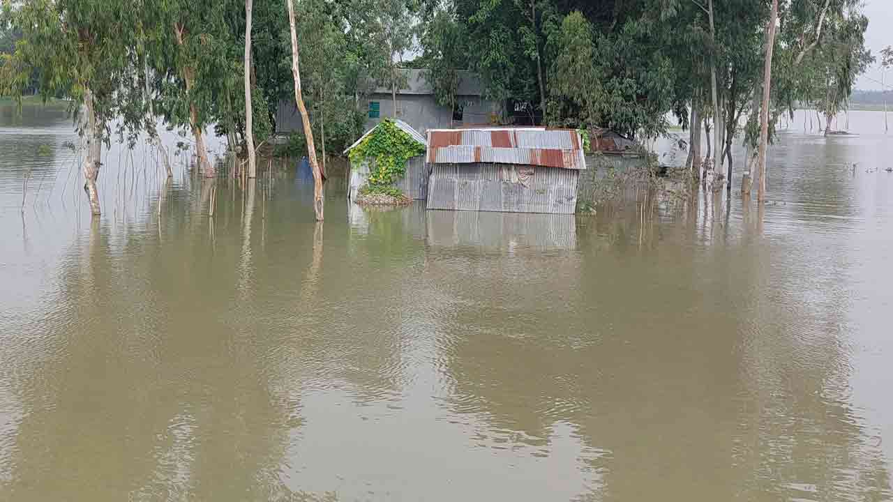 ছবি: দেশ টিভি অনলাইন