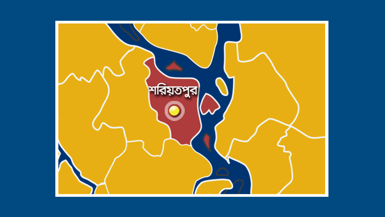 ফাইল ছবি