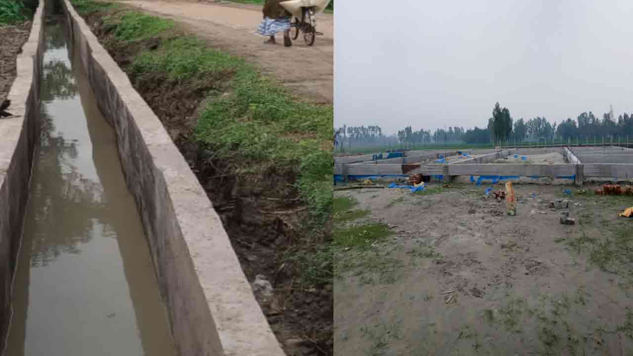 নিজস্ব ছবি