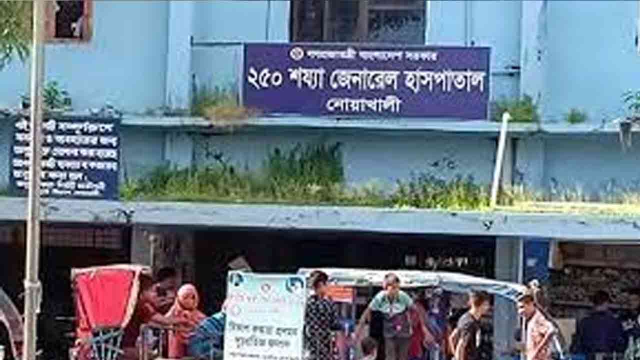 ফাইল ছবি