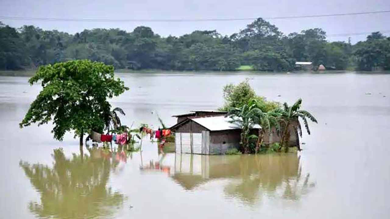 ফাইল ছবি
