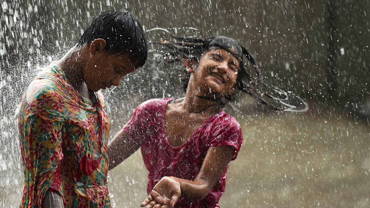 ফাইল ছবি