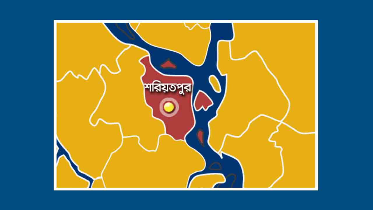 ফাইল ছবি