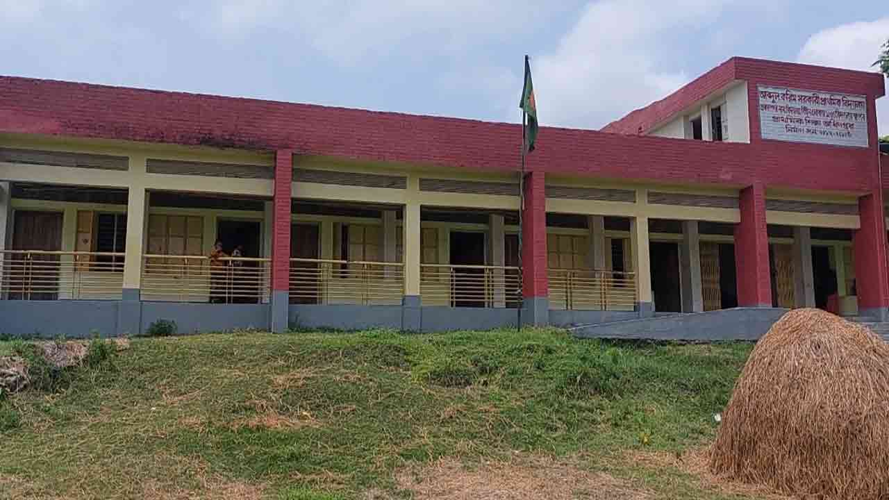 ফাইল ছবি