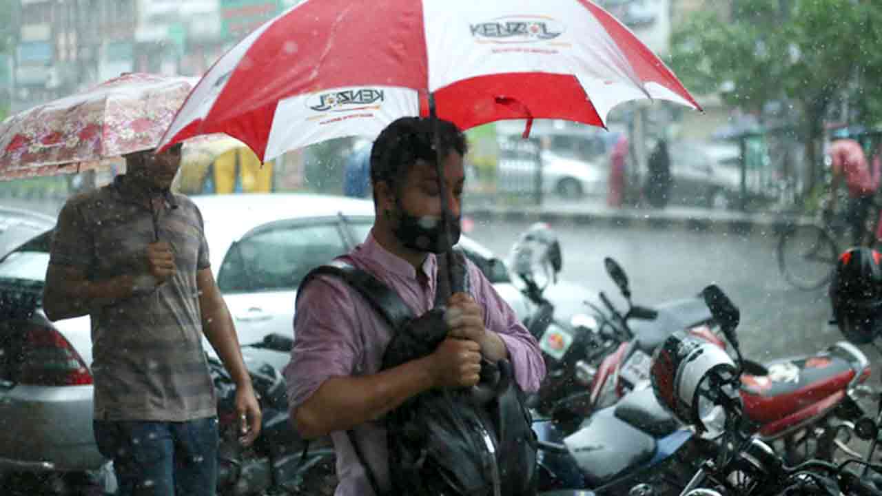 ফাইল ছবি