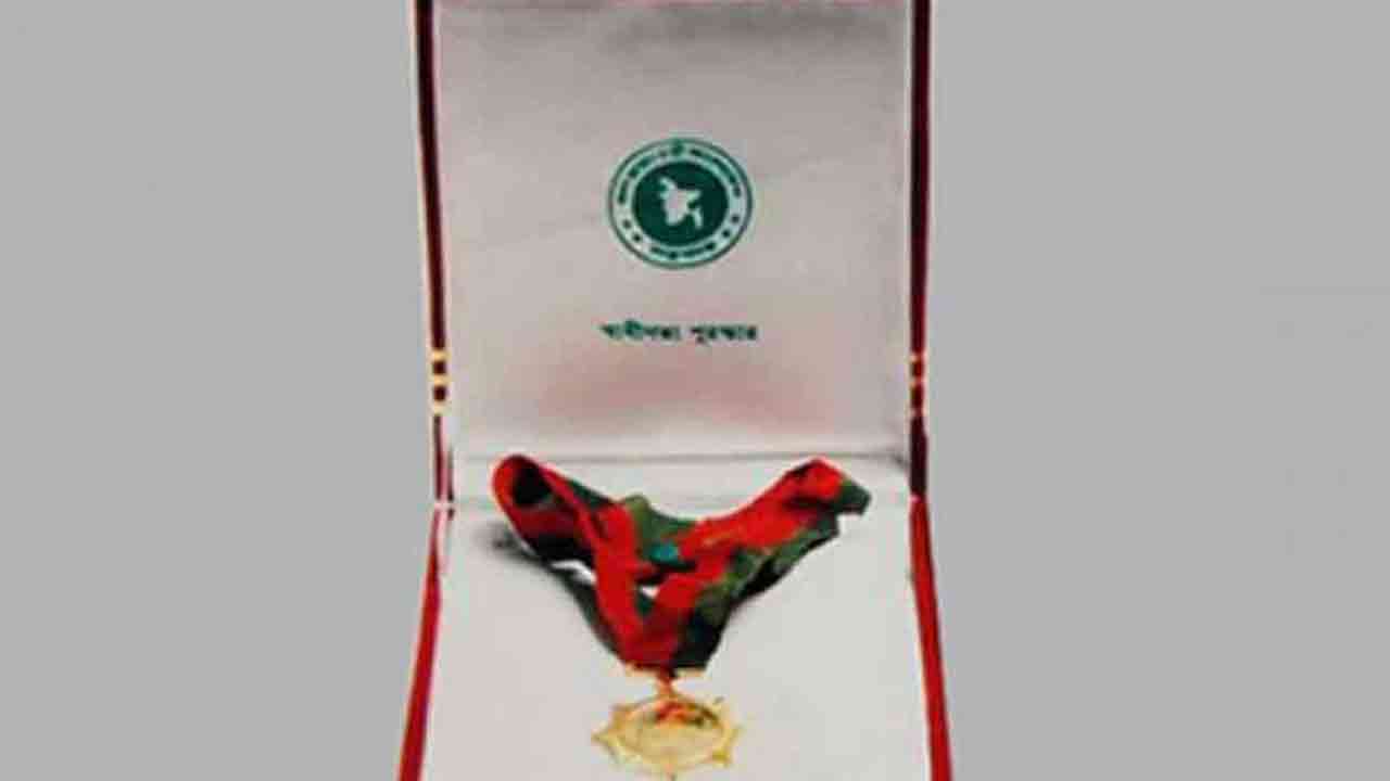 ফাইল ছবি