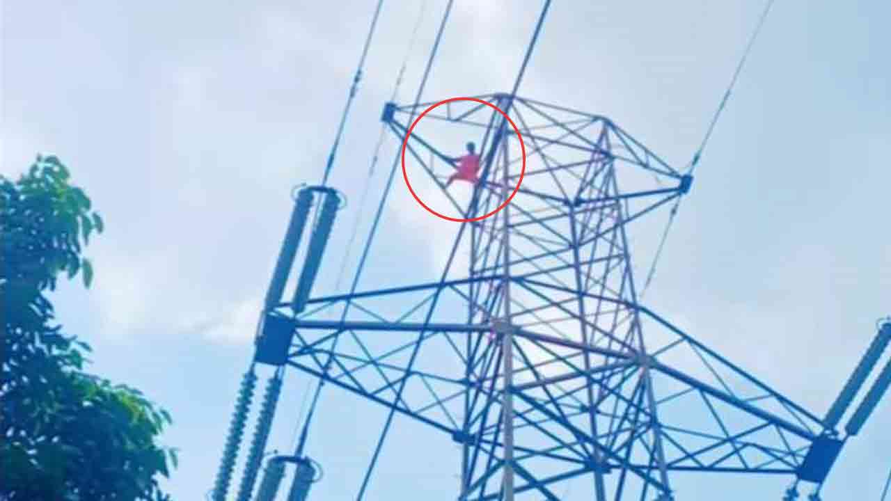 নিজস্ব ছবি