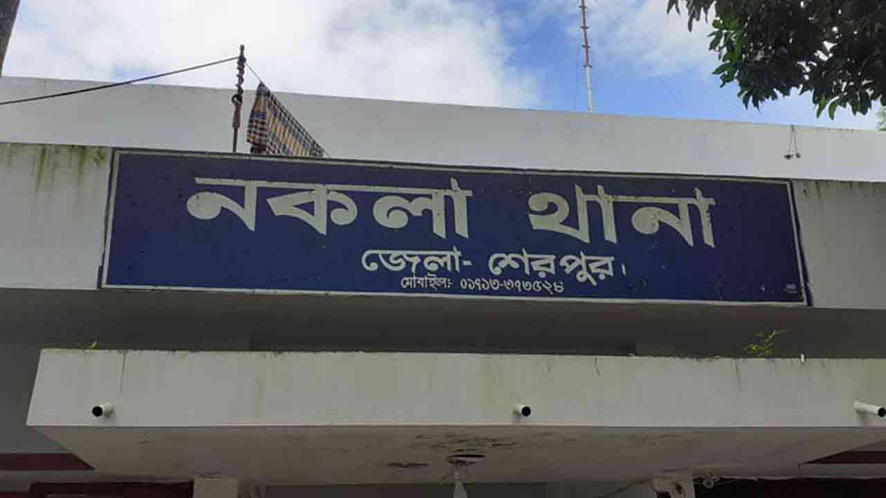 ফাইল ছবি