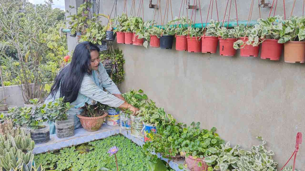 ছবি: দেশ টিভি